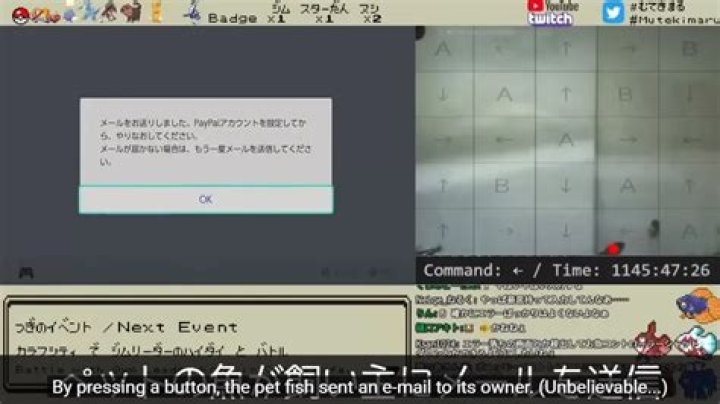 This pet fish plays Pokemon, but also commits credit card fraud