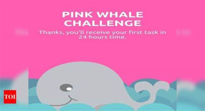 TikTok: What is the Pink Whale Challenge? Is it Similar to Blue Whale Challenge By Jonathan Galindo And All İnformation