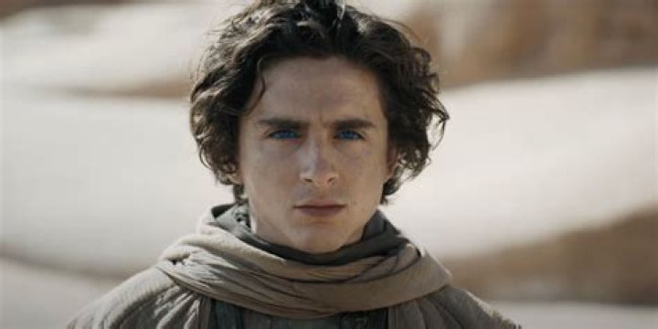 Timothée Chalamet's best movie is streaming on Netflix (and it's not Dune)