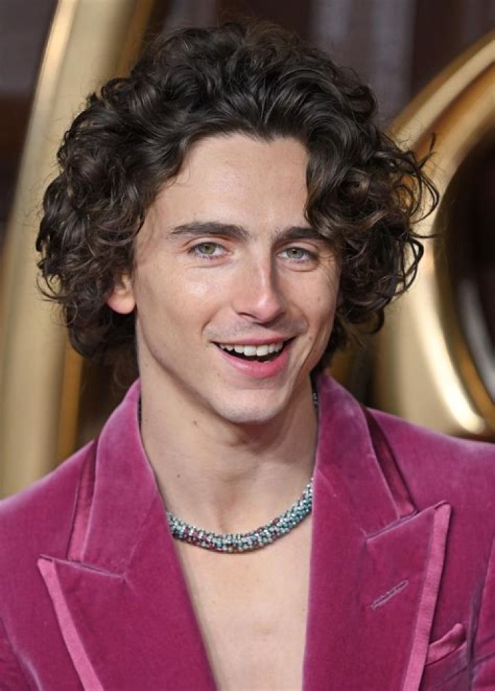 Timothee Chalamet wore Tom Ford & a Cartier necklace to the ‘Wonka’ premiere