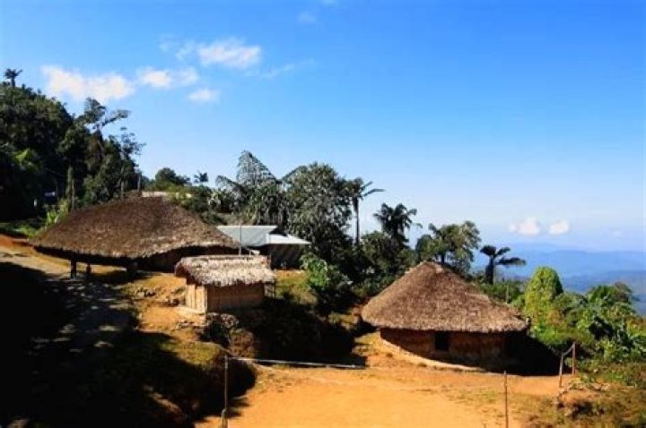 
Tourists flock to Nagaland’s unique Longwa village shared by India and Myanmar 