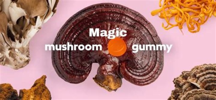 Try These 6 Must-Try Magic Mushroom Gummies Recipes