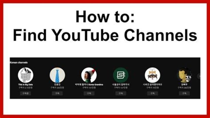 도토리TV Dotori TV Youtuber overview