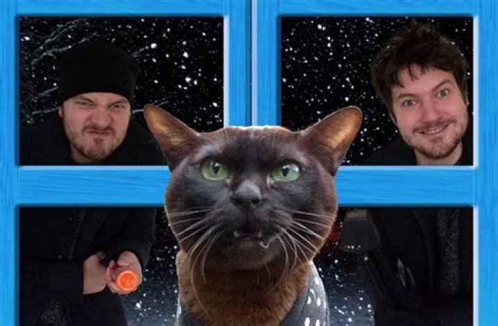 Twin Cats, Tara and Willow, and their Humans Recreate Famous Movie Scenes