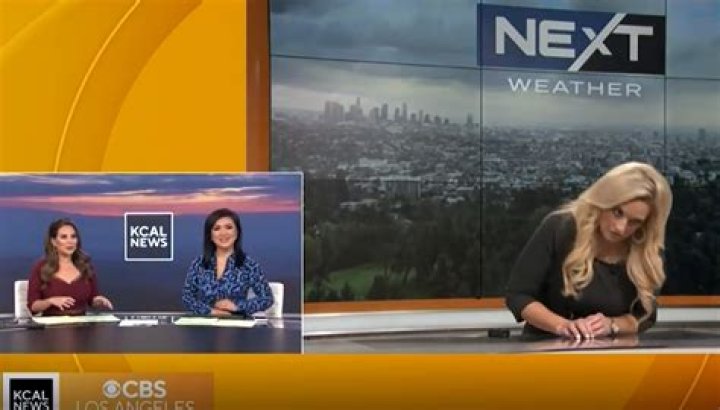 Update On KCAL News Meteorologist Alissa Carlson Who Collapsed Live On TV
