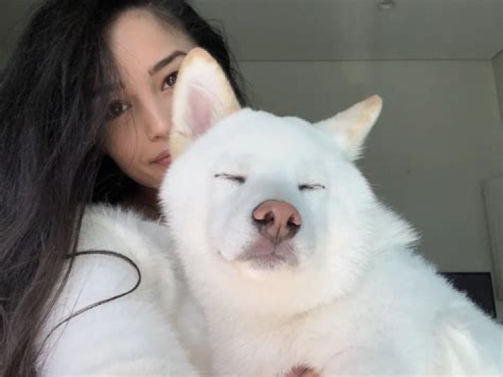 Valkyrae (Rachell Hofstetter) Pets - Celebrity Pets