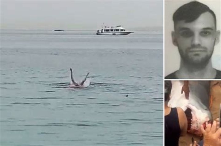 Vladimir Popov's Girlfriend Narrowly Escapes Tragic Shark Attack