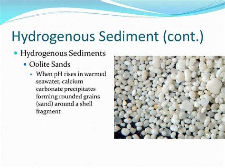 What are Hydrogenous sediments?
