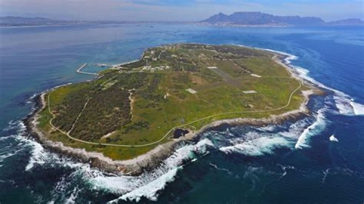 
What Are Khehla Sithole Qualifications? 