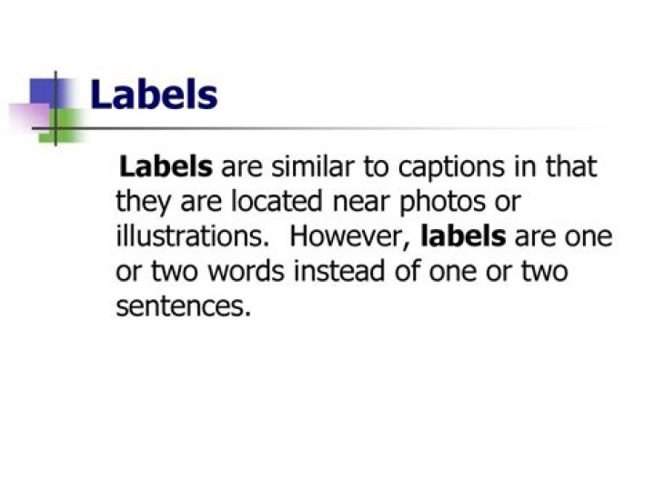 What are labels in text features?