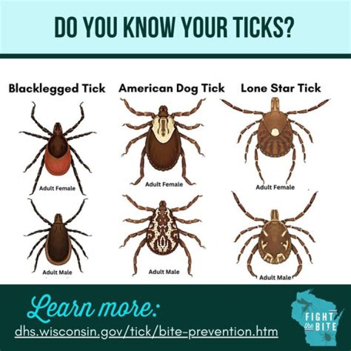What are predators of ticks?