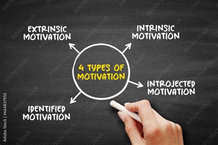 What are the 4 types of motivation?