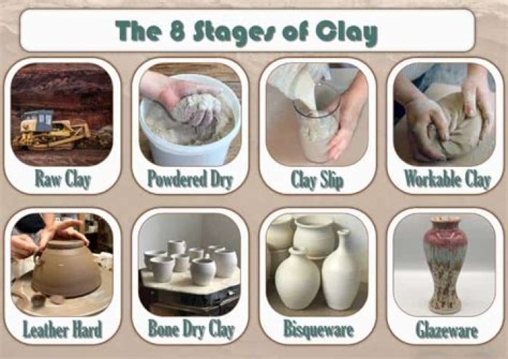 What are the stages of clay?