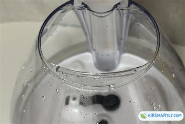 What can I put in my humidifier water?