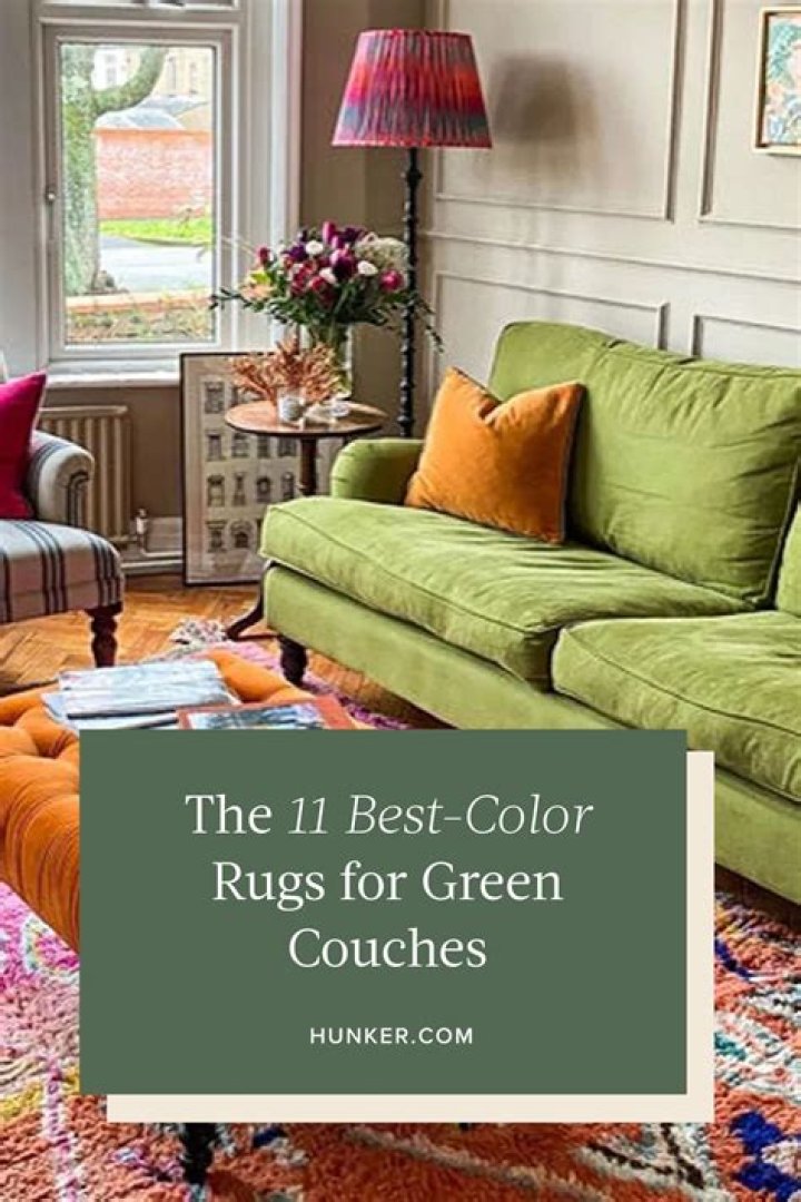 What color rug goes best with red couch?