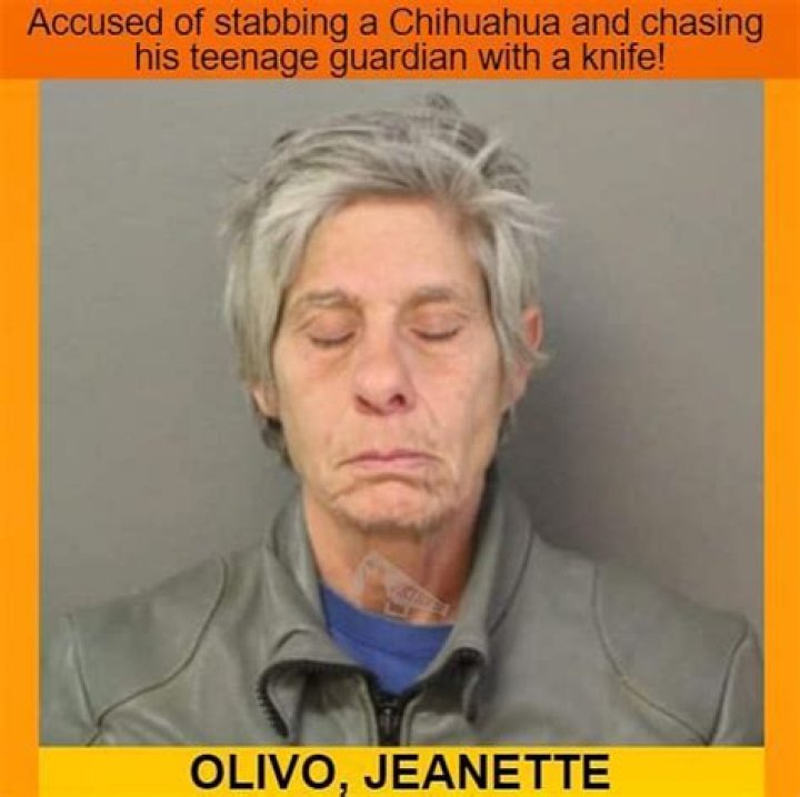 
What did Jeanette Olivo do? Chicago woman arrested over random attack on teen’s chihuahua 