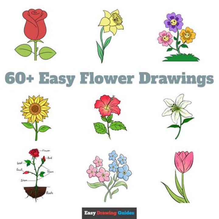 What do mass flowers draw attention to?