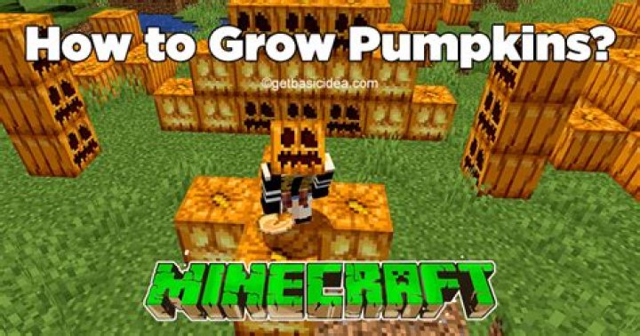 What do pumpkins grow on Minecraft?