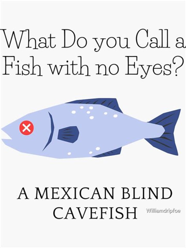 What do you call a decorative plate?