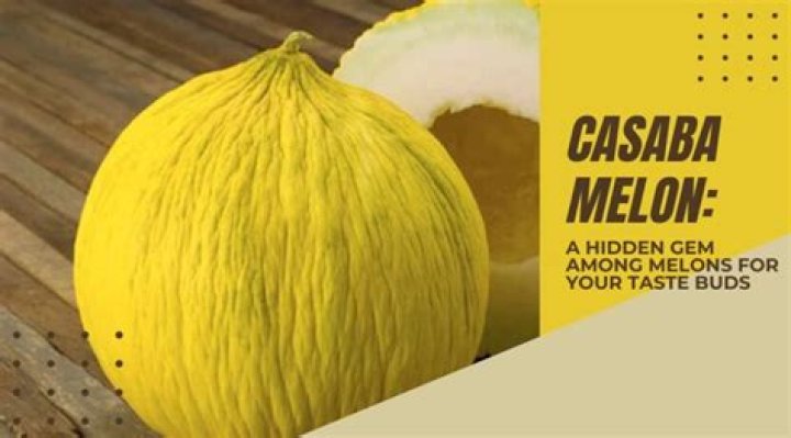 What does a casaba melon taste like?