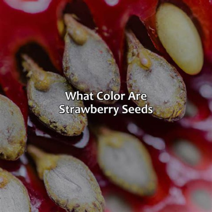 What does it mean when strawberry seeds are black?