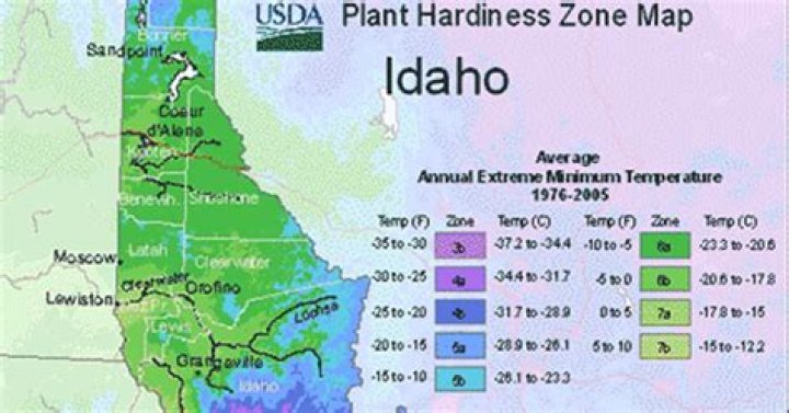 What growing zone is Lewiston Idaho?