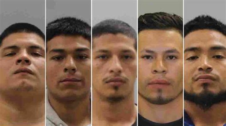 What happened to Esmeralda Gonzalez? Suspect sentenced in gruesome killing of Las Vegas model
