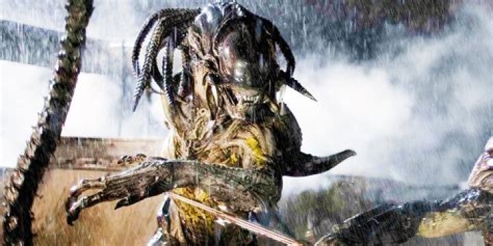 What Happened To Mini Ladd? Predator And Controversy Facts, Where Is He Now?
