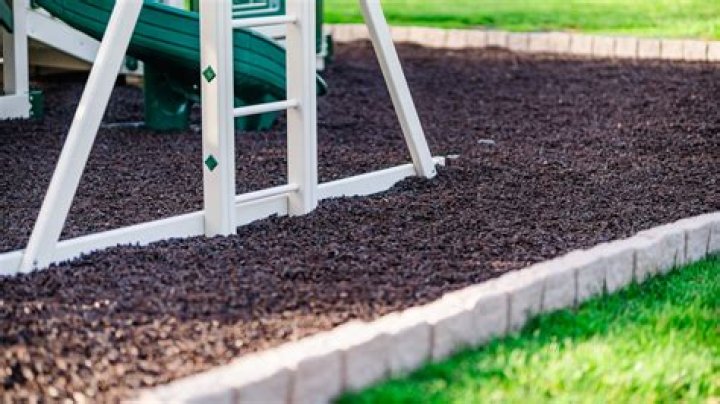 What happens if a dog eats mulch?