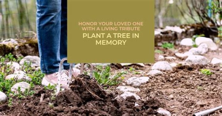 What is a good tree to plant in memory of someone?