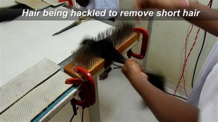 What is a hackle in cosmetology?