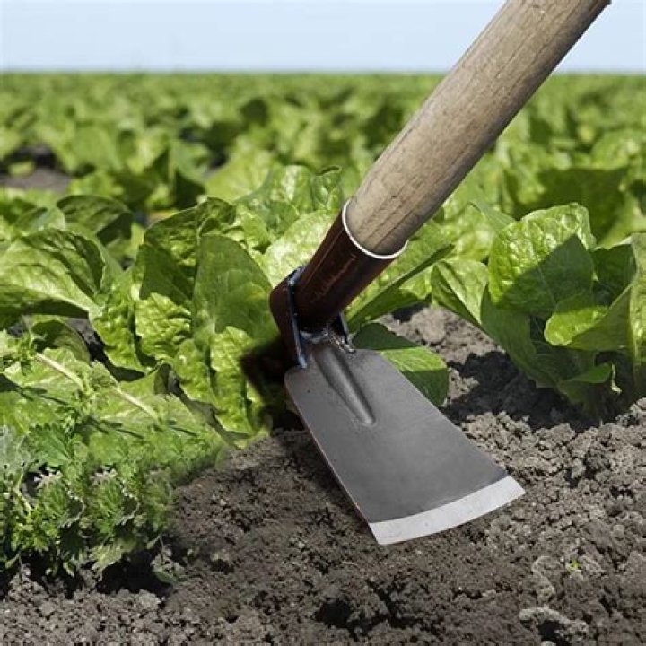 What is a Warren hoe used for?