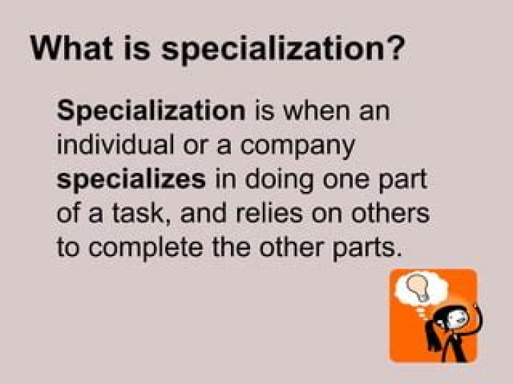 What is the definition of specialization in social studies?