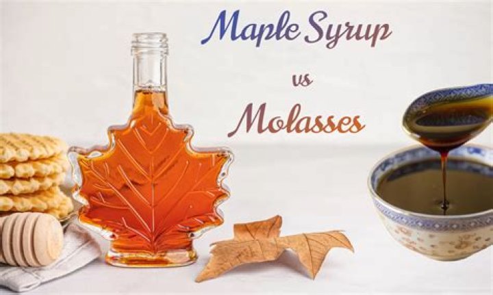 What is the difference between molasses and maple syrup?