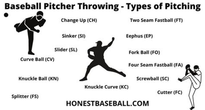 What is the most pitches thrown by one pitcher in a game?