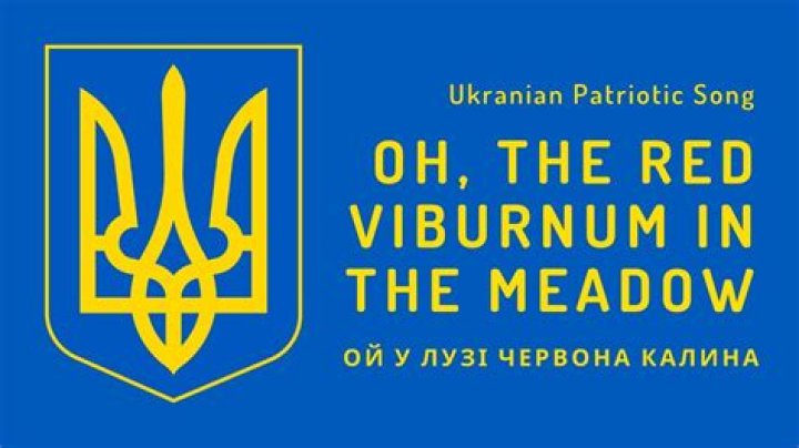 
What is The Red Viburnum In The Meadow Song? Find The Lyrics & English Translation Of The Ukrainian Fight Song 
