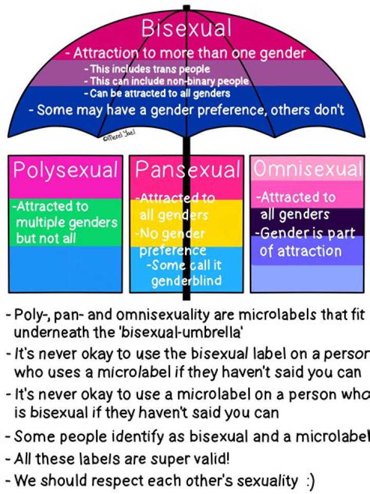 What Is the Sexuality of The Commissioner!
