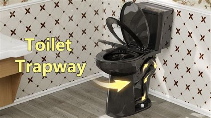 What is the Trapway on a toilet?