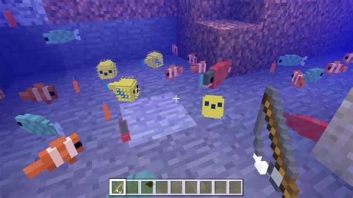 What is Tropical Fish in Minecraft?