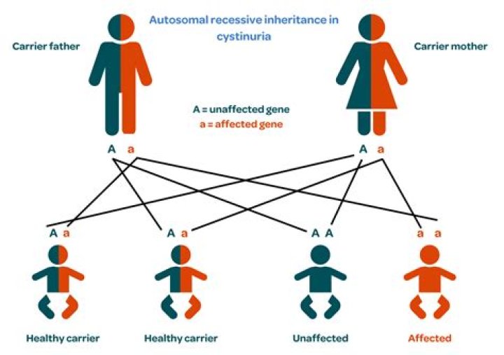 What Is Willow Pill Illness? Cystinosis Disease and Health Update 2022