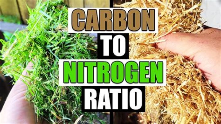 What makes grass green iron or nitrogen?