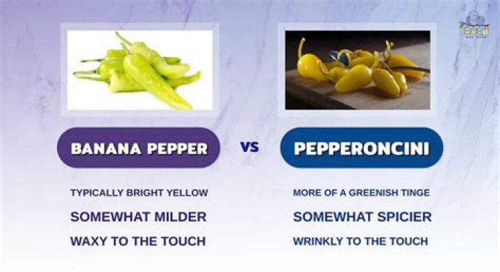 What pepper is similar to pepperoncini?