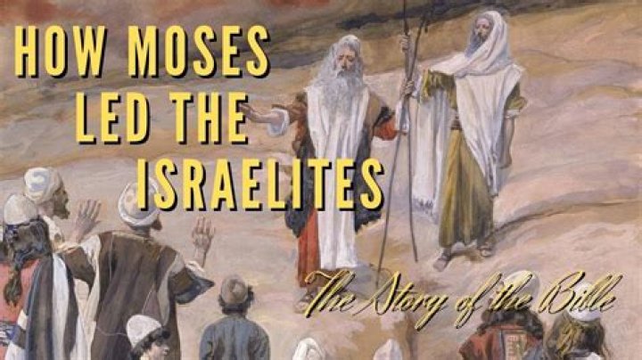 When did Moses Austin settle?