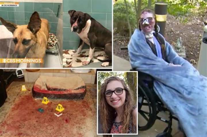 Where Is Jacqueline Durand In 2022? Dr Justin Bishop Dog Attack Victim Today