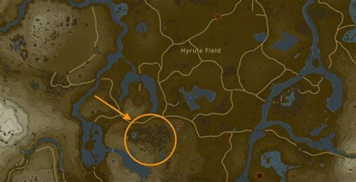 Where is the duplex bow in Zelda?