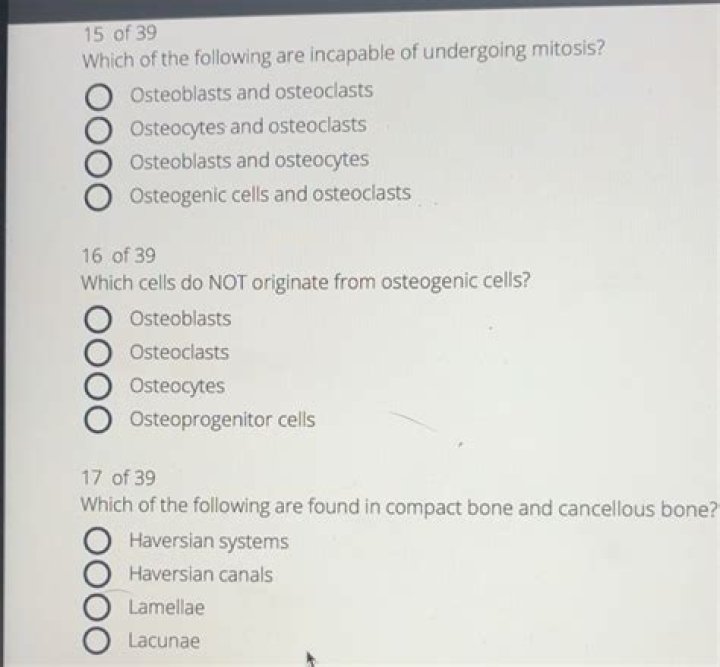 Which cells do not originate from osteogenic cells?