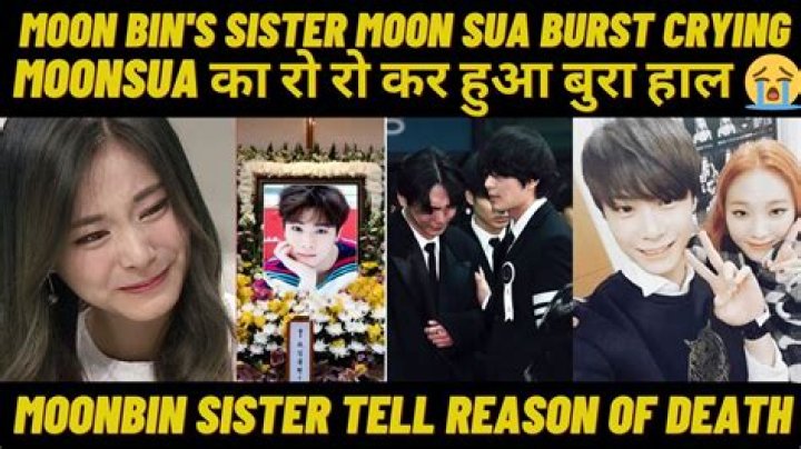 
Who Is Astro Moonbin Sister Moon Sua | Family Tree 