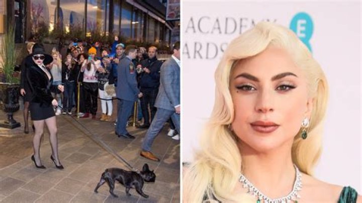 
Who is Jennifer McBride? Lady Gaga sued for $500,000 over dognapping reward 