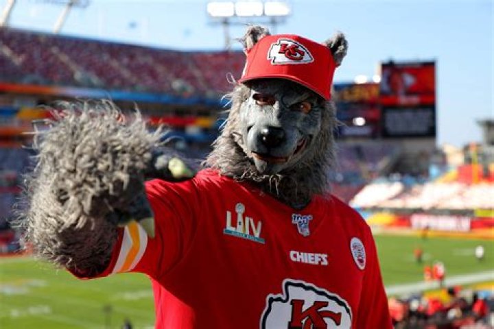 
Who is Kansas City Chiefs superfan Xaviar Michael Babudar? 
