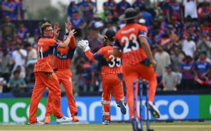 
Who Is Tim Pringle Dutch Cricketer? Parents Ethnicity And New Zealand Representation 